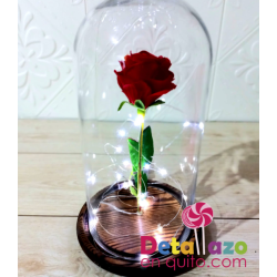 Beauty Rose