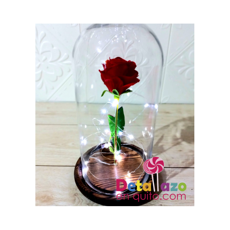 Beauty Rose